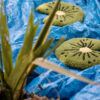 Image d'une décoration murale Nénuphar Moino Studio Tufting